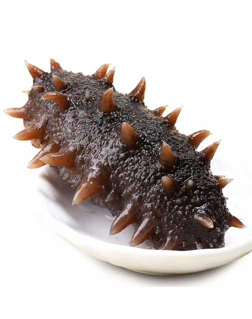  Sea Cucumber Peptides 
