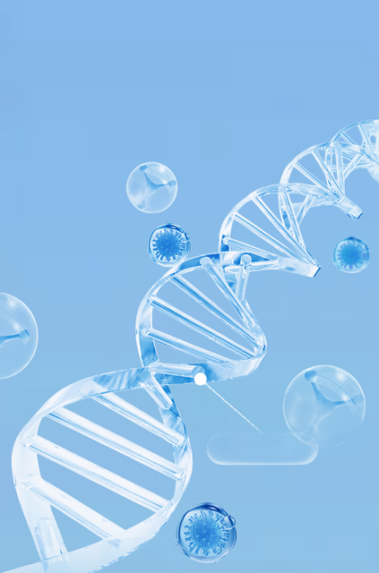Type II Collagen Peptides