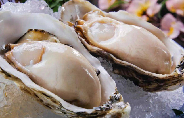  Oyster Peptides 
