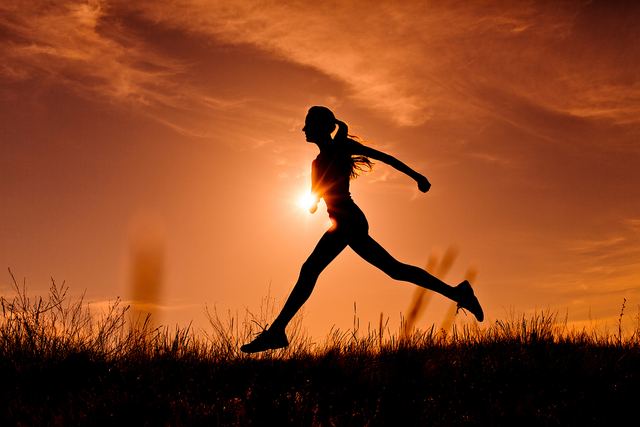 Whey Protein  Peptides